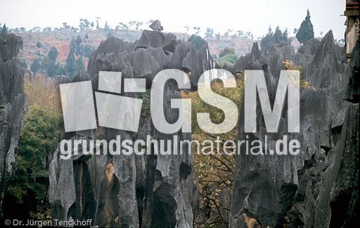 China (3 von 257).jpg